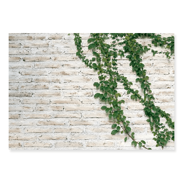 Fundo Fotográfico Folhagem em Tecido - F255