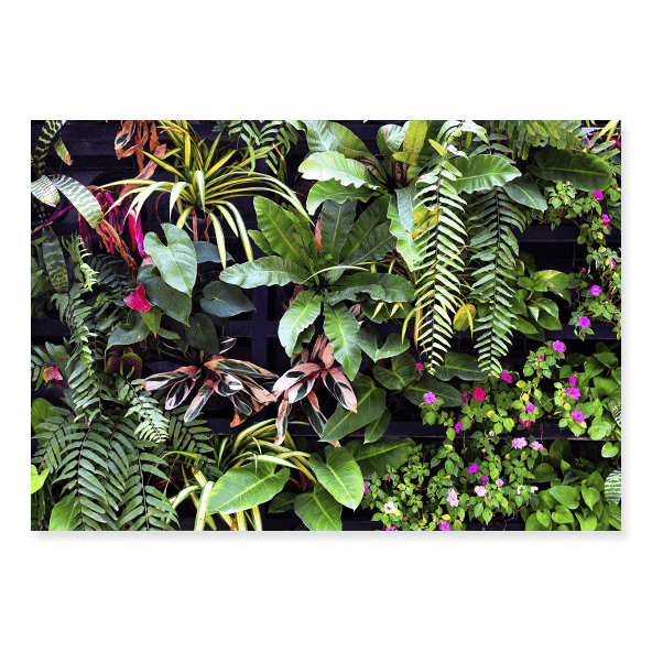 Fundo Fotográfico Folhagem em Tecido - F258