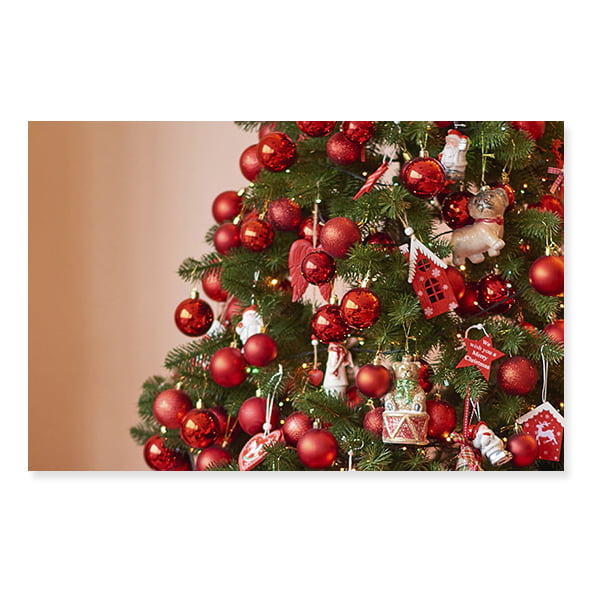 Fundo Fotográfico Natal em Tecido - NTL213