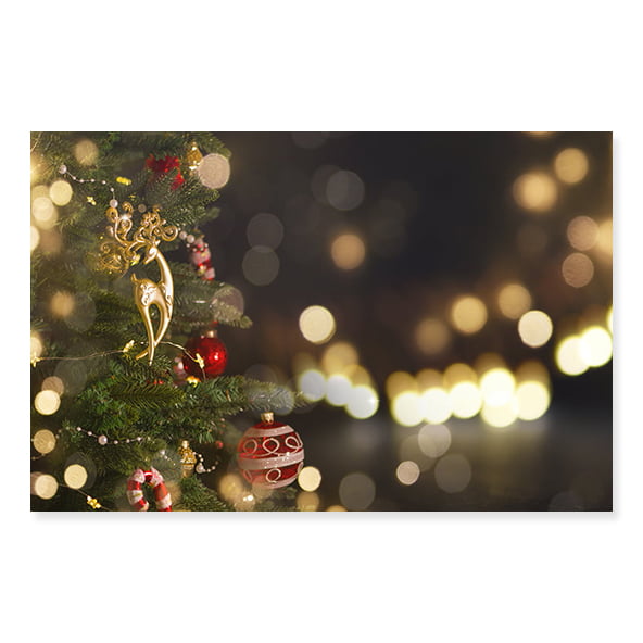 Fundo Fotográfico Natal em Tecido - NTL214