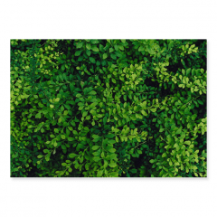 Fundo Fotográfico Folhagem em Tecido - F204 - 01 Fundo Fotográfico Folhagem em Tecido - F204 - 01