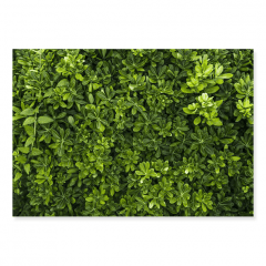 Fundo Fotográfico Folhagem em Tecido - F208 Fundo Fotográfico Folhagem em Tecido - F208