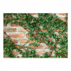 Fundo Fotográfico Folhagem em Tecido - F251
