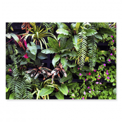 Fundo Fotográfico Folhagem em Tecido - F258 Fundo Fotográfico Folhagem em Tecido - F258