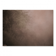 Fundo Fotográfico Backdrop em Tecido - BK200