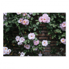 Fundo Fotográfico Floral em Tecido - FL201