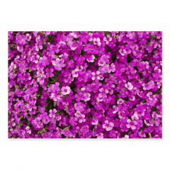 Fundo Fotográfico Floral em Tecido - FL204 Fundo Fotográfico Floral em Tecido - FL204