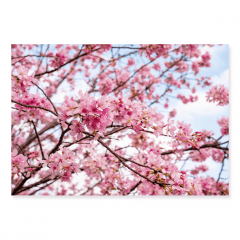 Fundo Fotográfico Floral em Tecido - FL206 Fundo Fotográfico Floral em Tecido - FL206